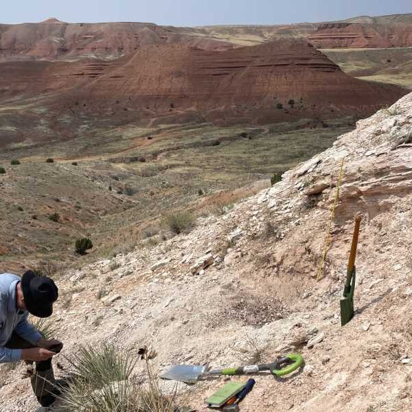 ‘It was amazing’: Scientists find ash from two mysterious volcanic eruptions in&hellip;