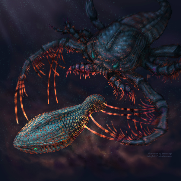 Scientists have discovered that our teeth evolved from the ‘armour’ of fish&hellip;