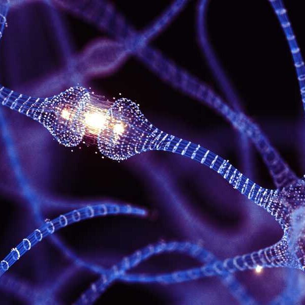 Can adults make new brain cells? New research may finally settle one&hellip;