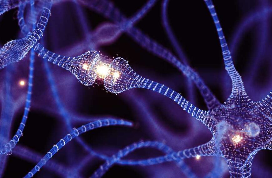 Can adults make new brain cells? New research may finally settle one&hellip;