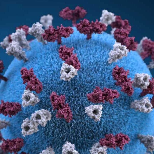 Measles has long-term health consequences for children. Vaccines can prevent all of…