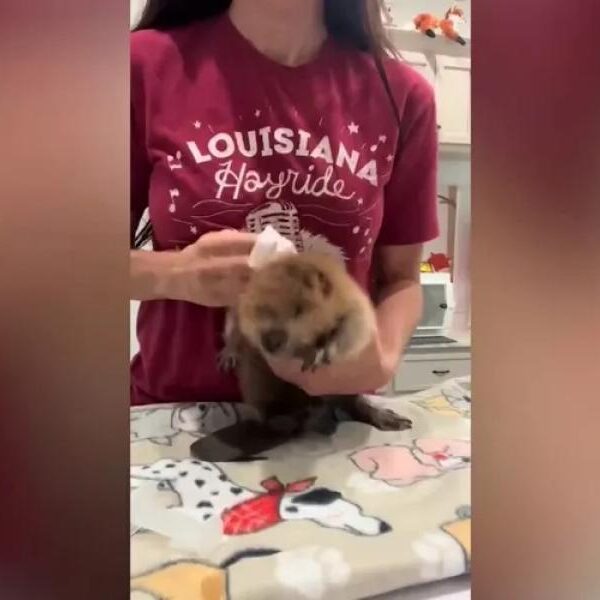 Woman says boyfriend ‘upset’ when she doesn’t praise him for cooking