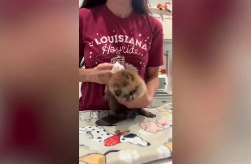 Woman says boyfriend ‘upset’ when she doesn’t praise him for cooking