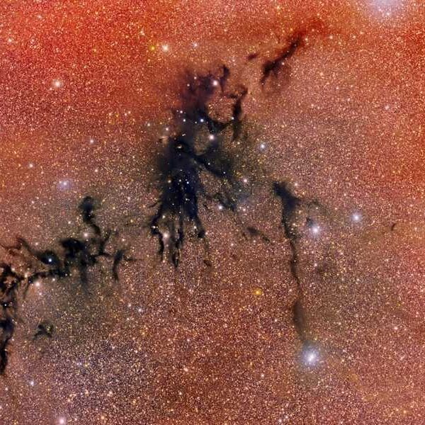 Scientists discover ‘dark nebula’ being torn apart by noisy young stars, providing…