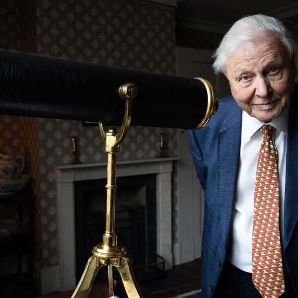 David Attenborough’s Birthday: 9 Surprising Facts About the British Naturalist Who Turns&hellip;