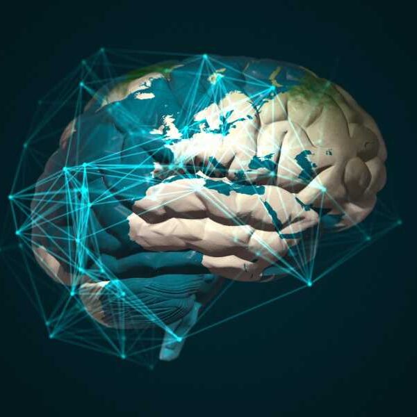 The brain can “move” between related ideas just as it moves from…