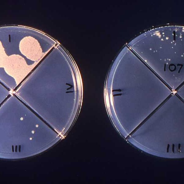 ‘We Will Fight For Him’: Author John Green Meets Henry Rader, a…