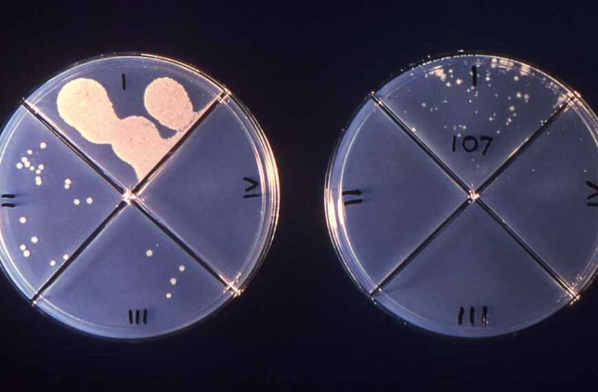 ‘We Will Fight For Him’: Author John Green Meets Henry Rader, a…