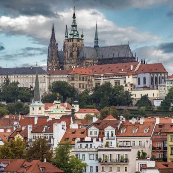 Europe’s oldest vanilla pod discovered in Prague Castle