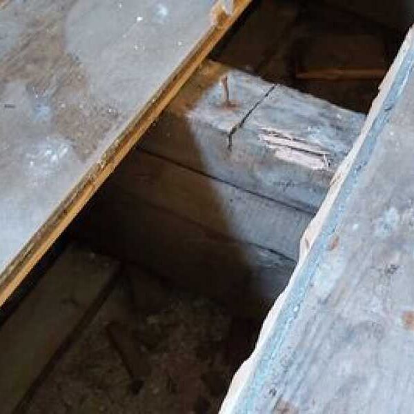Plumbers lift floorboards and make ‘creepy’ discoveries