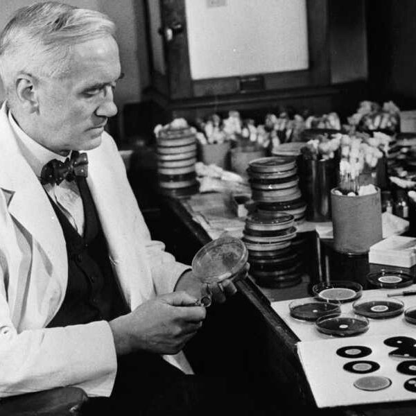 ‘How could this be allowed to happen?’: The threat of ‘superbugs’ has&hellip;