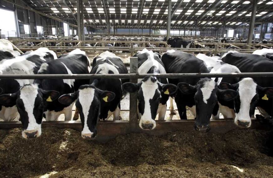 Raw milk containing salmonella has sickened 170 people in five states, mostly…