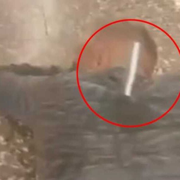 Stabbed man crawls on floor with knife in back after row at&hellip;