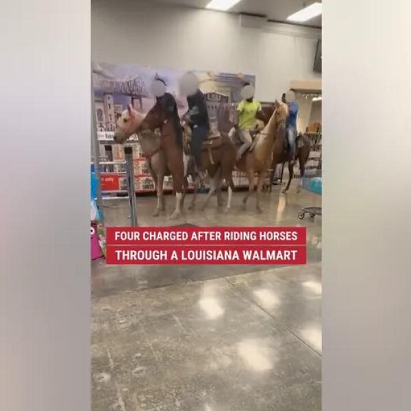 Three Men, One Teen Face Trial in Louisiana for Riding Horses in…