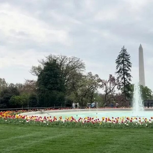 Abraham Lincoln’s Ford’s Theatre Gloves Sell to Highest Price at Presidential Auction