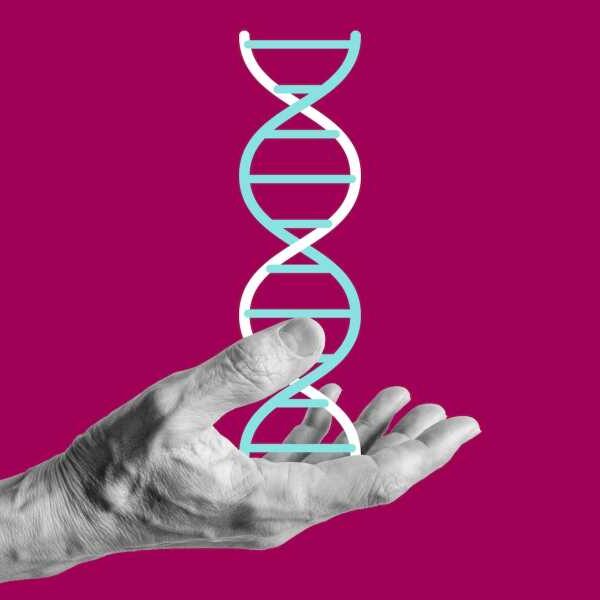 Best-ever human genome map reveals ‘hidden’ regions of DNA