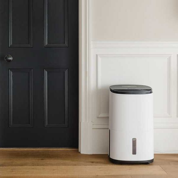 The Best Dehumidifiers of 2025: Fight Damp, Mold, and Condensation