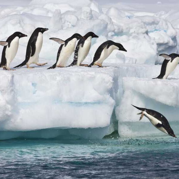 What’s hidden beneath the ice of Antarctica?