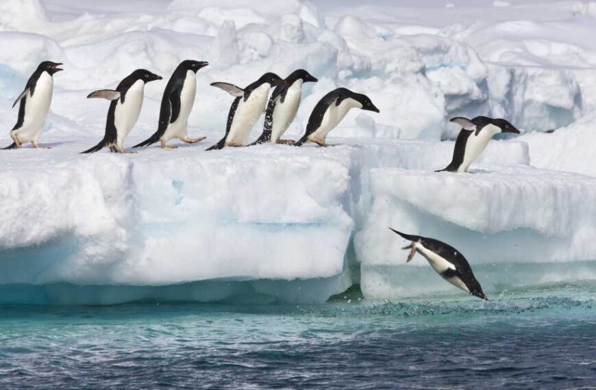 What’s hidden beneath the ice of Antarctica?