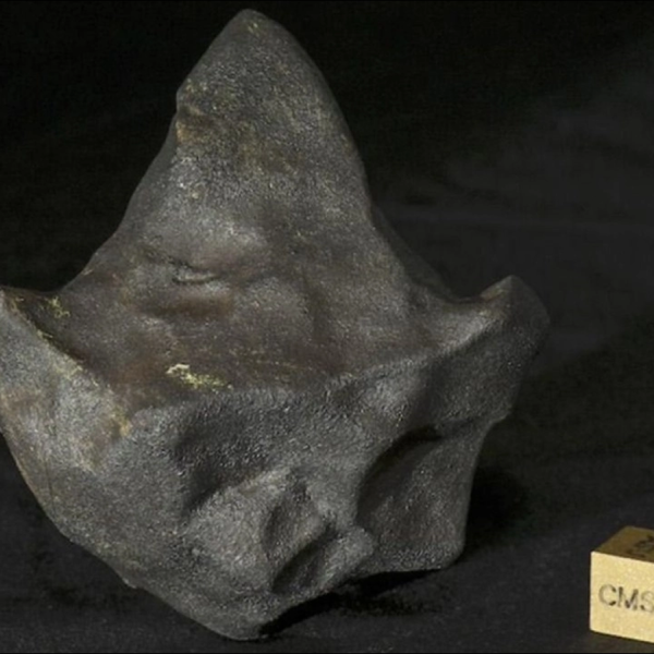 How a ‘Mudball’ Meteorite Survived Space and Landed in the Central American…