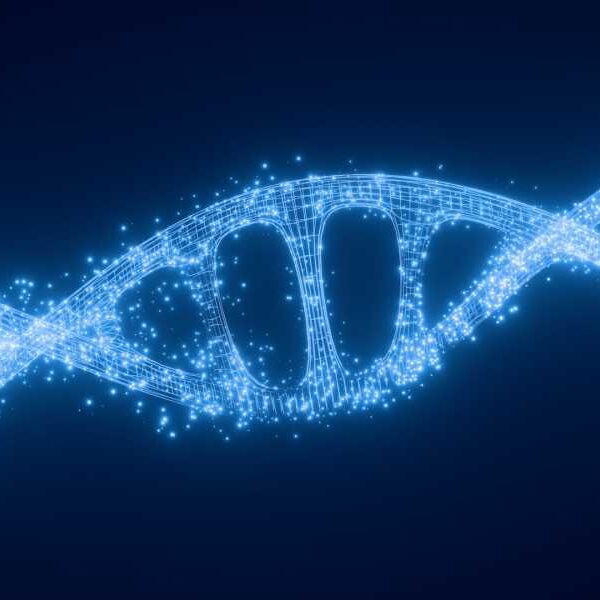 ‘Hibernation genes’ help control metabolism and nutrition – and may have untapped&hellip;