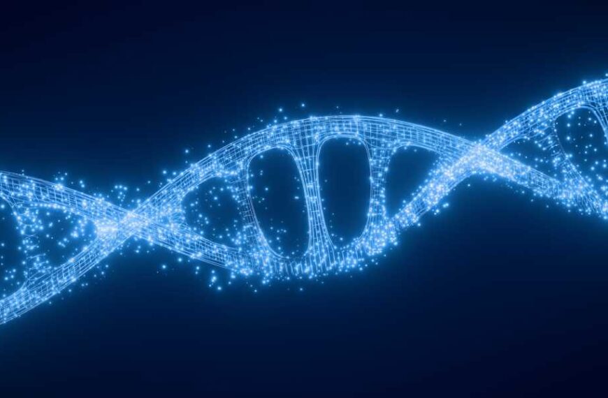 ‘Hibernation genes’ help control metabolism and nutrition – and may have untapped&hellip;