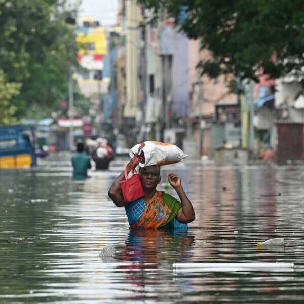 Climate change is causing food to spoil faster, making hundreds of millions&hellip;