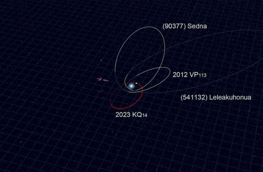 A new dwarf planet, ‘Ammonite,’ has been discovered in the frozen outskirts…