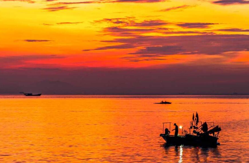 A study has found that 96% of the world’s oceans experienced extreme&hellip;