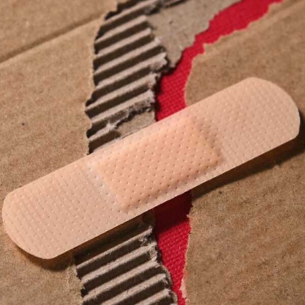 Humans may have evolved to heal 3 times slower than other mammals