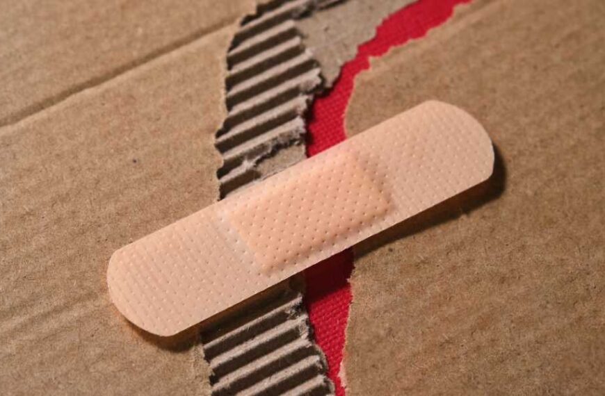 Humans may have evolved to heal 3 times slower than other mammals