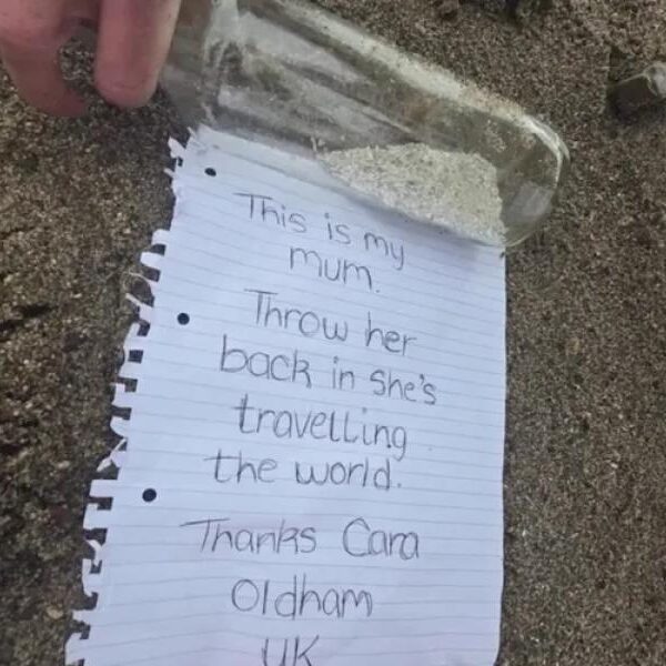 Ancient Chinese documents worth $216,000 stolen from UCLA in alleged swap scheme