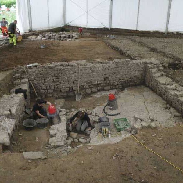 Burials of Roman infants and panther statue found in Switzerland