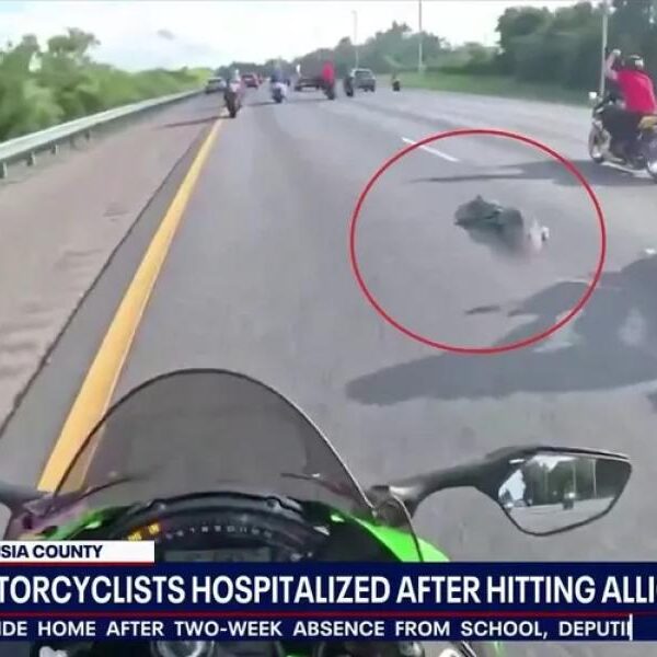 Florida motorcyclists hospitalized after collision with 6-foot alligator on highway