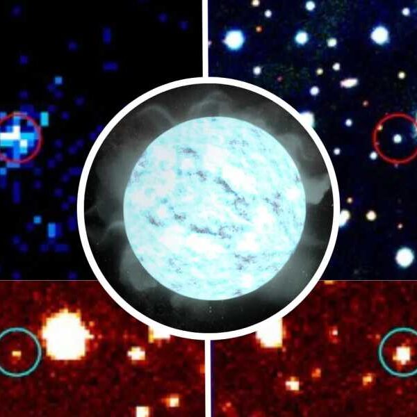 Missing Link Star: Why This ‘Teenage Vampire’ White Dwarf Has Scientists So&hellip;