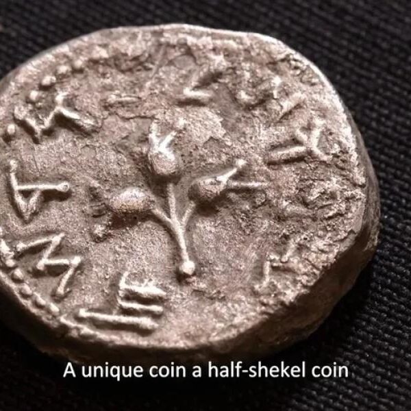 Ancient treasure discovered by metal detector in Romania