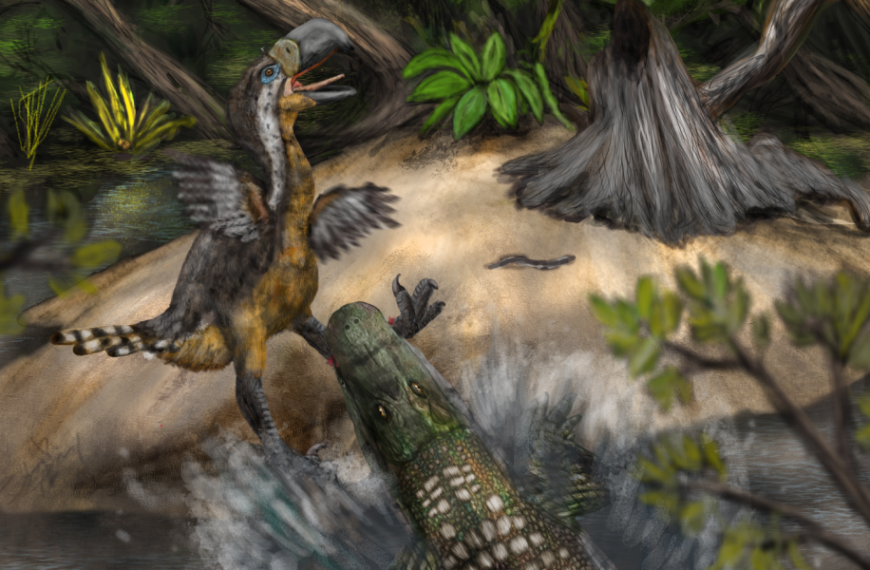 Bite marks suggest that the giant terror birds may have been potential…