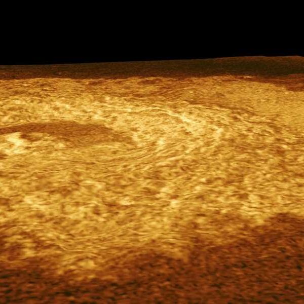 After all, a shocking analysis of 30 years of NASA data suggests&hellip;