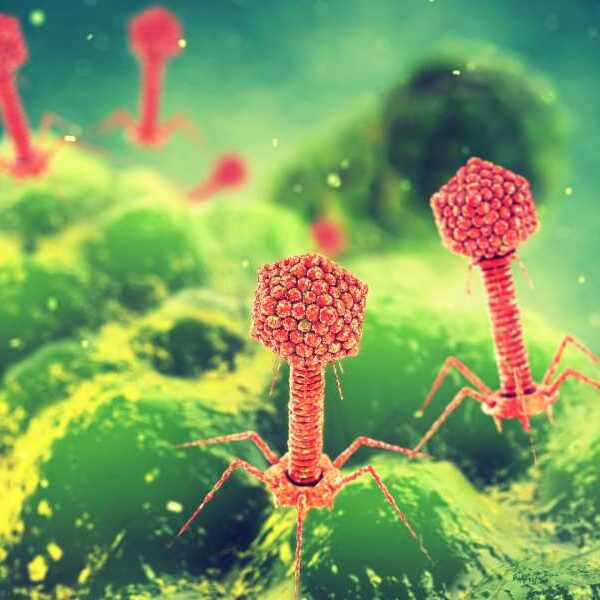 ‘This Is Not a New War’: How the Battle Between Viruses and…