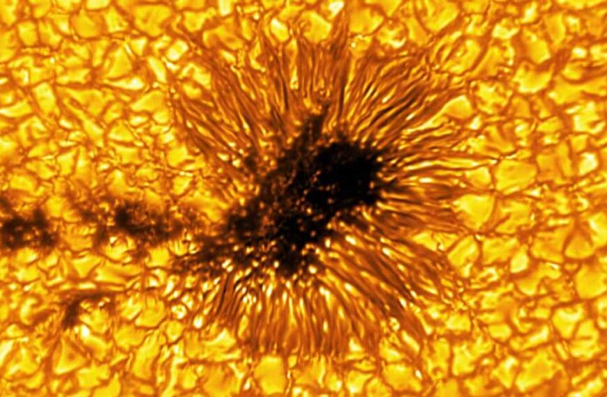 World’s largest solar telescope includes powerful new camera reveals stunning view of…