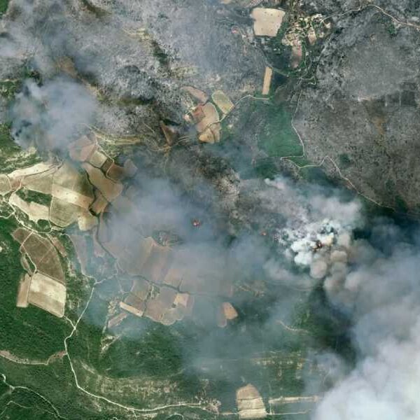 Satellites monitor France’s biggest forest fire in 75 years