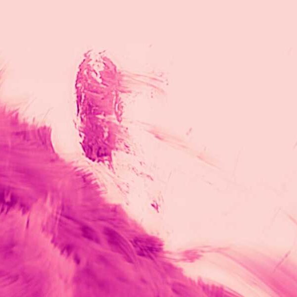 Space Photo of the Week: Pink ‘Raindrops’ on the Sun Captured in…