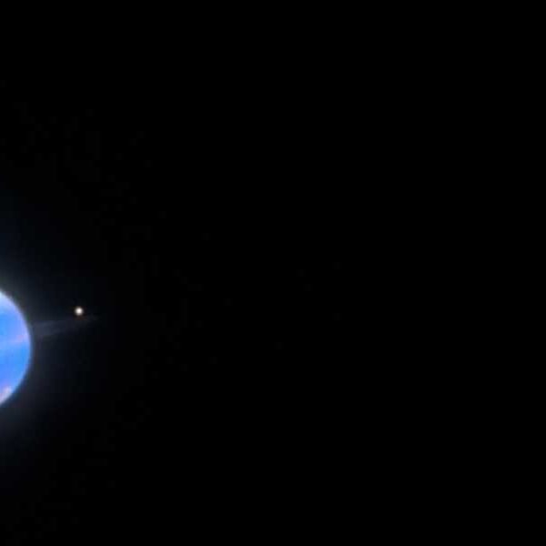 Surprised Scientists Discover Uranus’ Moons’ ‘Dark Sides’ Are Upside Down