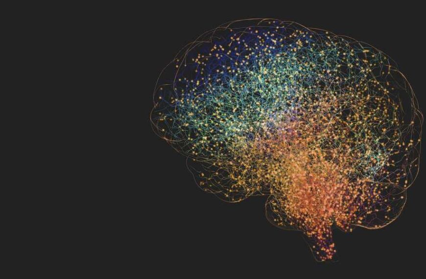 Can adults grow new brain cells?