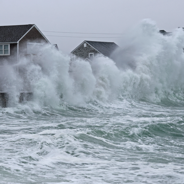 Scientists warn that north-easterly winds have become 20% more destructive over the…
