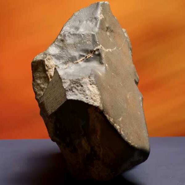 Largest known Martian meteorite on Earth sold at auction for $5.3 million