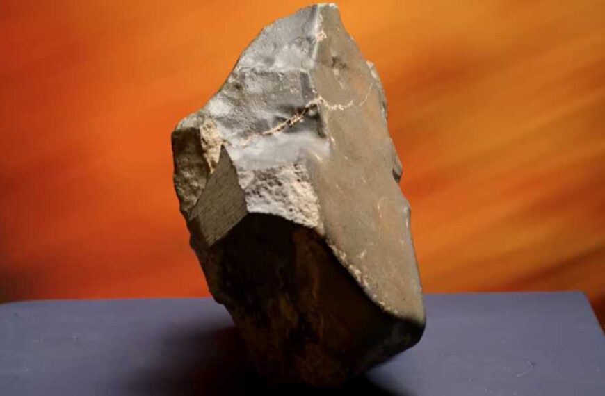 Largest known Martian meteorite on Earth sold at auction for $5.3 million