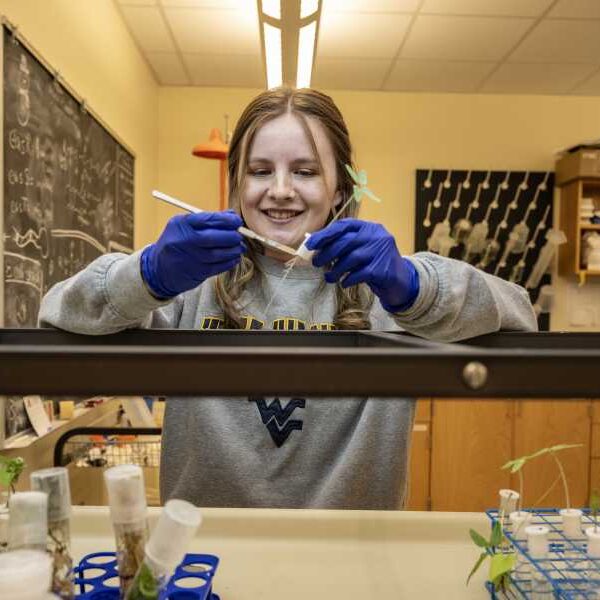 College Student Discovers Psychedelic Fungus That Escaped LSD Inventor