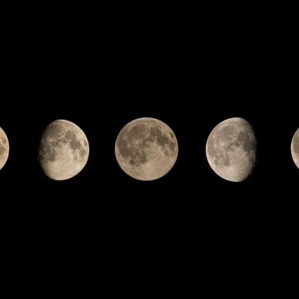 Moon: facts about our planet’s satellite – the moon