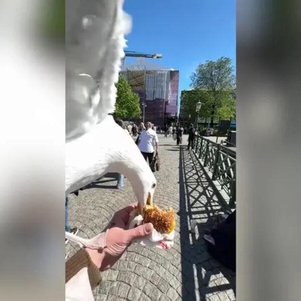 American Guy Complains About His French Girlfriend’s Cooking Habits